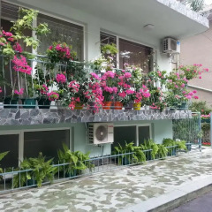 Отель Nely Family Hotel Болгария, Поморие - отзывы, цены и фото номеров - забронировать отель Nely Family Hotel онлайн