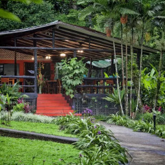 Отель Chachagua Rainforest Ecolodge фото 16
