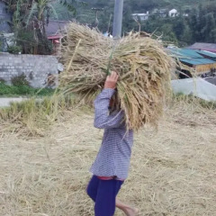 Отель Dang Phung Homestay Номер категории Эконом фото 17
