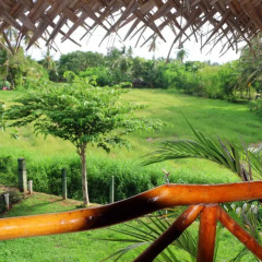 Отель The Green View Yala спа