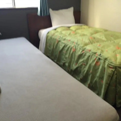 Shinseto Station Hotel 2* Стандартный номер фото 5