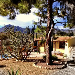 Отель The Olive Mill Aparthotel Испания, Ориуэла - отзывы, цены и фото номеров - забронировать отель The Olive Mill Aparthotel онлайн пляж