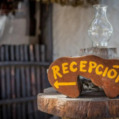 Отель Beachfront Hotel La Palapa - Adults Only Мексика, Остров Ольбокс - отзывы, цены и фото номеров - забронировать отель Beachfront Hotel La Palapa - Adults Only онлайн интерьер отеля
