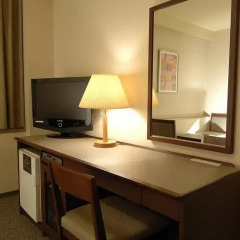 Ginza International Hotel 2* Стандартный номер с различными типами кроватей фото 5