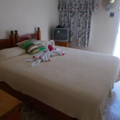 Отель Paradise Inn 2* Стандартный номер с различными типами кроватей