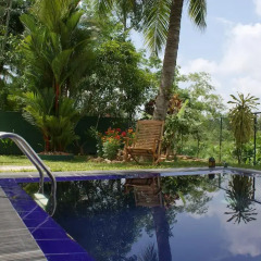 Отель Lanka Rose Guest House Шри-Ланка, Берувела - отзывы, цены и фото номеров - забронировать отель Lanka Rose Guest House онлайн бассейн