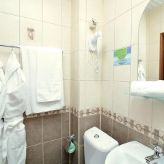 Гостиница Амстердам 3* Номер Эконом с разными типами кроватей фото 6