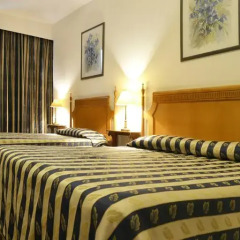 Hotel Eduardo VII 3* Стандартный номер с разными типами кроватей фото 7