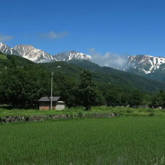 Отель Pension Agi Хакуба фото 4