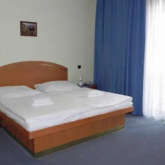 Hotel Ruze 4* Стандартный номер с различными типами кроватей фото 5