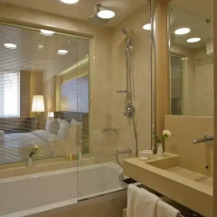 Гостиница Crowne Plaza St.Petersburg-Ligovsky (Краун Плаза Санкт-Петербург Лиговский) 4* Стандартный номер с различными типами кроватей фото 13