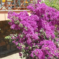 Hotel Olympos фото 2
