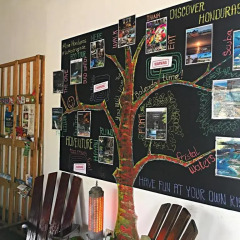 La Madrugada Hostel гостиничный бар