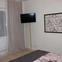Гостиница Apartamenti na Vladimirskoy 7A в Пскове отзывы, цены и фото номеров - забронировать гостиницу Apartamenti na Vladimirskoy 7A онлайн Псков удобства в номере