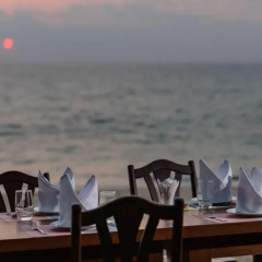 Отель Coriacea Boutique Resort питание фото 3