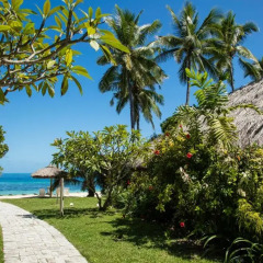 Отель Castaway Island Fiji 4* Стандартный номер с различными типами кроватей фото 9