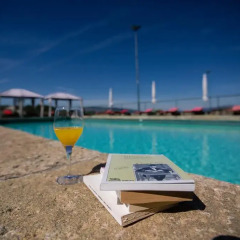 Отель Quinta da Barroca Португалия, Армамар - отзывы, цены и фото номеров - забронировать отель Quinta da Barroca онлайн бассейн фото 2