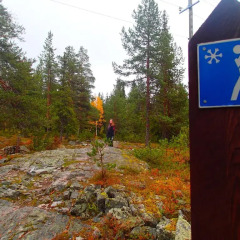 Отель Lapland Hotel Sky Ounasvaara Финляндия, Рованиеми - 2 отзыва об отеле, цены и фото номеров - забронировать отель Lapland Hotel Sky Ounasvaara онлайн приотельная территория