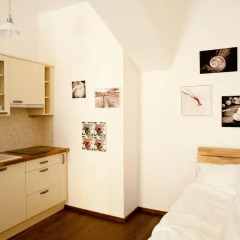 Апартаменты Pod Slovany Apartment Прага в номере фото 2