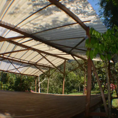 Отель Omega Tours Adventure Company & Eco Jungle Lodge 2* Стандартный номер с различными типами кроватей фото 17