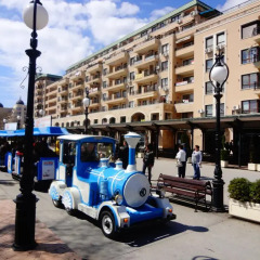 Отель Sea View Rental Front Beach Золотые пески спортивное сооружение