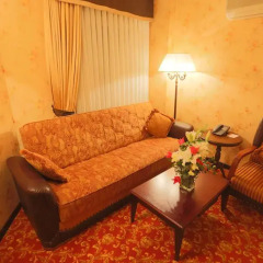 Pera Rose Hotel - Special Class 4* Номер категории Эконом с различными типами кроватей фото 2
