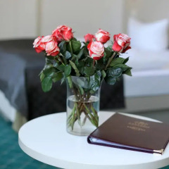 Hotel & Apartments Zarenhof Berlin Prenzlauer Berg 4* Номер Комфорт с различными типами кроватей фото 3