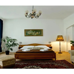 Апартаменты Prague 01 Apartments комната для гостей фото 2