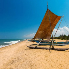New negombo beach hostel пляж
