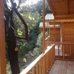 Full Moon Camp Бунгало с различными типами кроватей фото 29