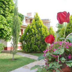 Отель El Olivo Аргентина, Сан-Рафаэль - отзывы, цены и фото номеров - забронировать отель El Olivo онлайн фото 4
