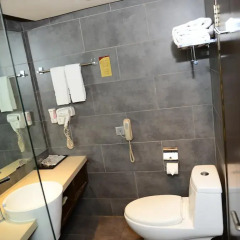 Xian Forest City Hotel 4* Номер Делюкс с различными типами кроватей фото 2