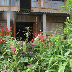 Отель Ta Van Family Homestay Шапа фото 3