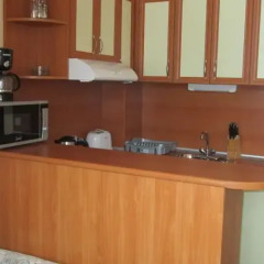 Отель Snow Lodge Alexander Services Apartments Болгария, Банско - отзывы, цены и фото номеров - забронировать отель Snow Lodge Alexander Services Apartments онлайн удобства в номере фото 2