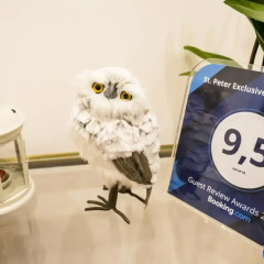 Отель St. Peter Exclusive Leisure Rooms детские мероприятия