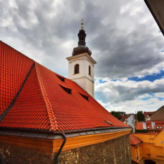 Hotel Adler 3* Стандартный номер с различными типами кроватей фото 6