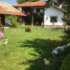 Отель House Gabri Болгария, Тырговиште - отзывы, цены и фото номеров - забронировать отель House Gabri онлайн фото 4