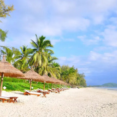 Отель TTC Resort Premium Doc Let 2* Улучшенное бунгало с различными типами кроватей фото 4
