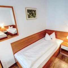 Hotel Antares 3* Стандартный номер с различными типами кроватей фото 10