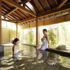 Отель Misasa Yakushinoyu Mansuirou 4* Стандартный номер фото 2