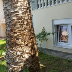 Potos Hotel 3* Апартаменты Эконом с различными типами кроватей фото 12