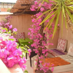 Отель Riad Darmouassine Марокко, Марракеш - отзывы, цены и фото номеров - забронировать отель Riad Darmouassine онлайн фото 11