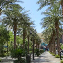 Отель El Cortez Hotel & Casino США, Лас-Вегас - 1 отзыв об отеле, цены и фото номеров - забронировать отель El Cortez Hotel & Casino онлайн фото 4