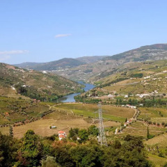 Отель Quinta D´Além D´oiro