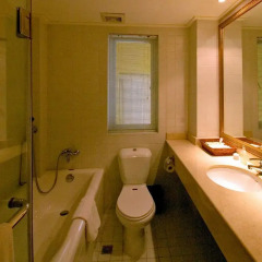 Asset Hotel Shanghai 3* Люкс с различными типами кроватей фото 8