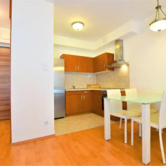 Апартаменты Corvin Apartment Budapest в номере фото 5
