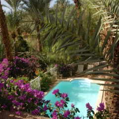 Отель Villa Zagora Ma Villa au Sahara Марокко, Загора - отзывы, цены и фото номеров - забронировать отель Villa Zagora Ma Villa au Sahara онлайн фото 14
