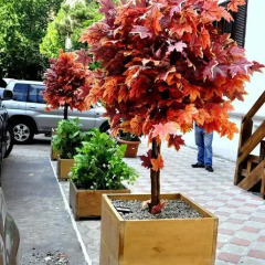 Отель Tacima Guest house Тбилиси фото 3