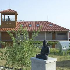 Hotel Mellow с домашними животными