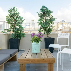 Апартаменты Hacarmel Apartment Тель-Авив бассейн